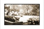 home-spring-1915-119-taylor-carter-house-front-yard